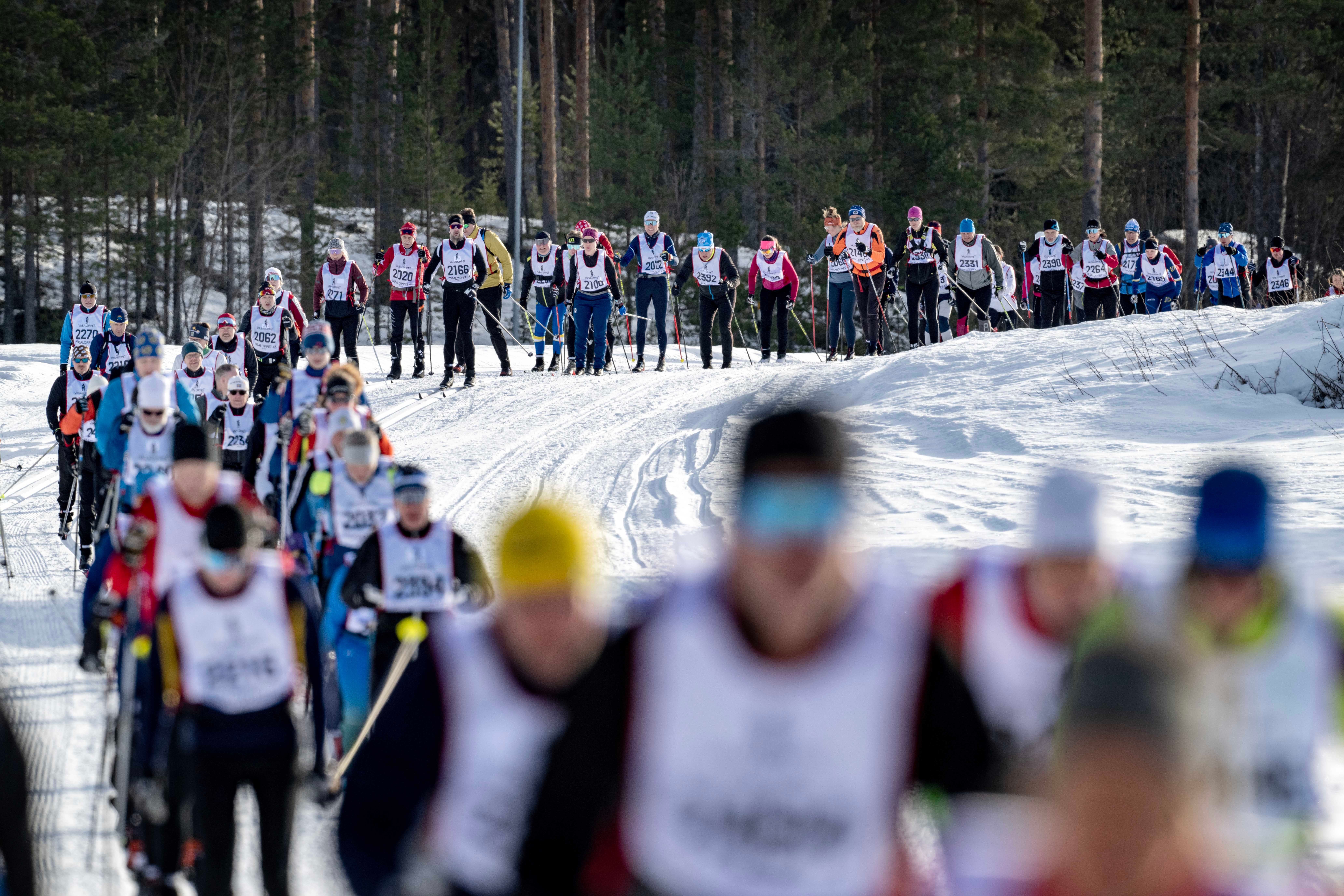 23Up_vasa45_00998 (1)